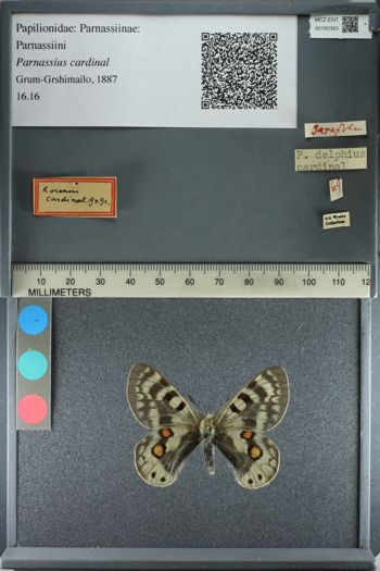 Media type: image;   Entomology 180383